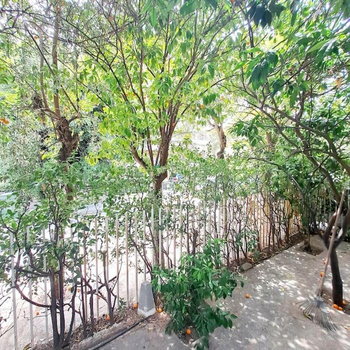 Apartamento 20' From The Airport,20' From The Center Of Atenas Exterior foto