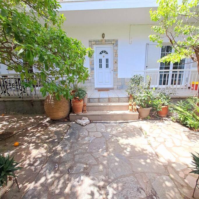 Apartamento 20' From The Airport,20' From The Center Of Atenas Exterior foto